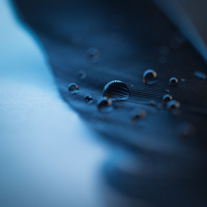 〇Idman骚年老头22
